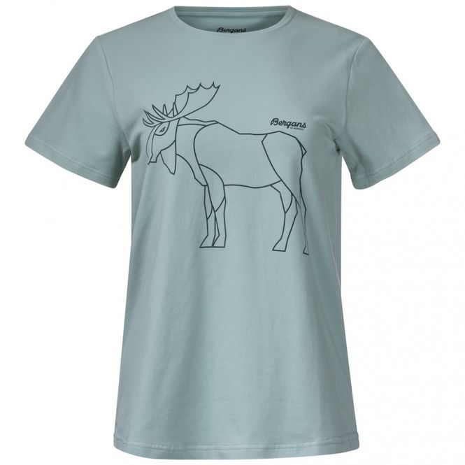 Hovedbilde Bergans Graphic W T-skjorte Mint