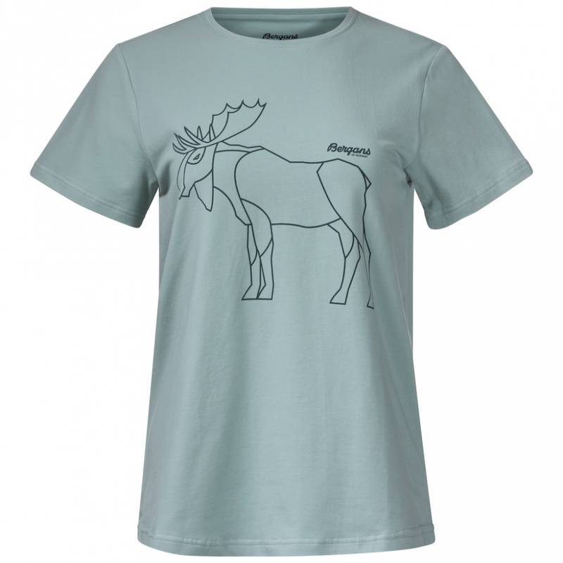 Bergans Graphic W T-skjorte Mint