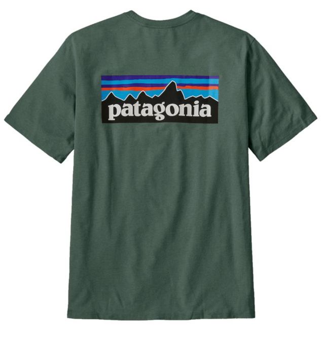 Hovedbilde Patagonia M P-6 Logo T-Shirt Cngr Canopy Green